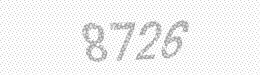 Visual security code — type the characters shown in the image